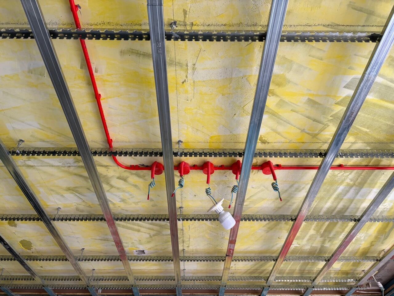 微信圖片_2026-03-07_145805_390